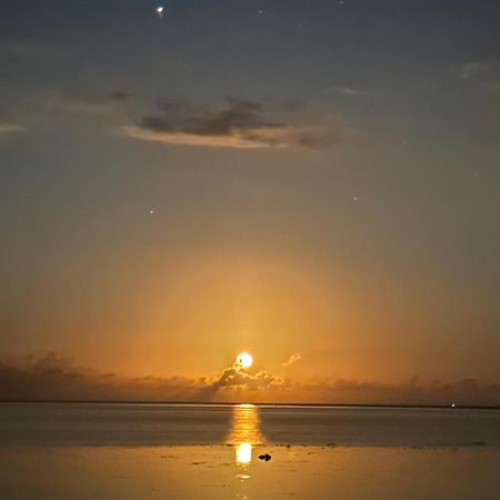 Teraupoo Lodge Maison Afareaitu المظهر الخارجي الصورة