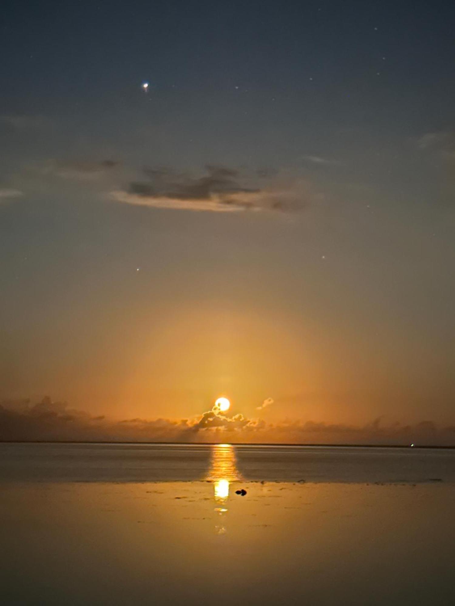 Teraupoo Lodge Maison Afareaitu المظهر الخارجي الصورة